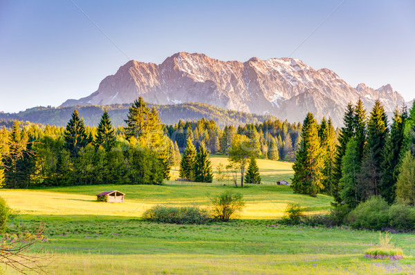 Pasture at the Karwendel mountains Stock photo © manfredxy
