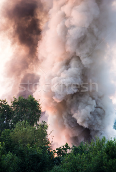 Burning fire with smoke Stock photo © manfredxy