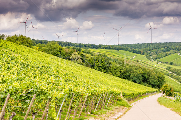 Growing wine and windpower in Franconia Stock photo © manfredxy