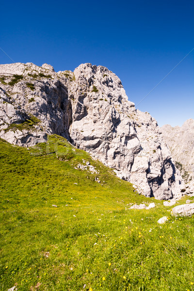 Mountain landscape in the alps of Bavaria Stock photo © manfredxy
