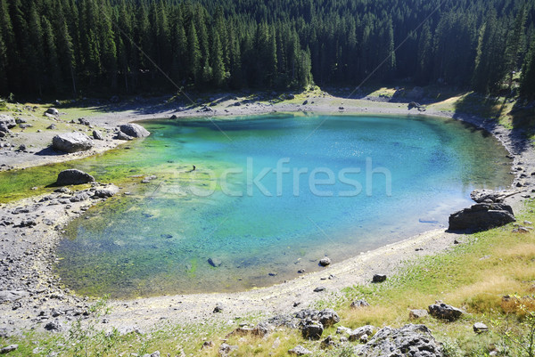 Lake Karrersee Stock photo © manfredxy