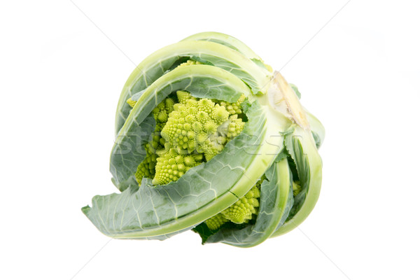 Isolated Romanesco Broccoli Stock photo © manfredxy