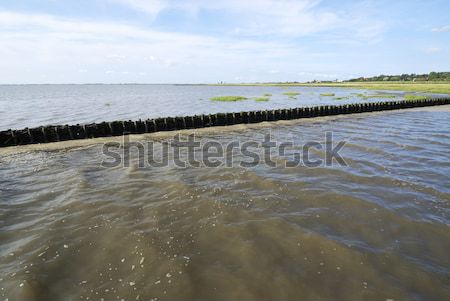 Wadden Sea Stock photo © manfredxy