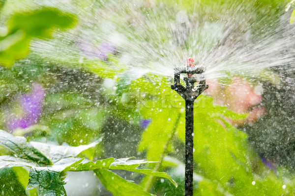 Giardino irrigazione automatico impianto acqua Foto d'archivio © manfredxy