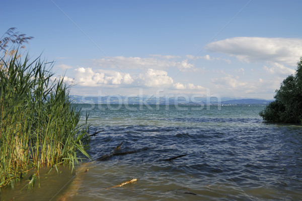 Lake Bodensee Stock photo © manfredxy