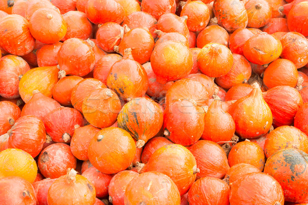 紅色 壁球 南瓜 食品 秋天 商業照片 © manfredxy