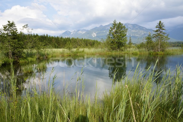 Lake in the Alps Stock photo © manfredxy