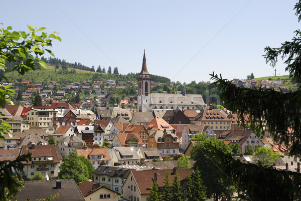 Village in the Black Forest Stock photo © manfredxy