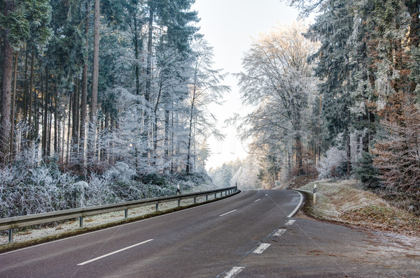 Road through a forest with frosted trees Stock photo © manfredxy