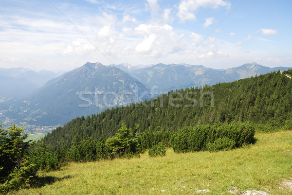 Bavarian Alps Stock photo © manfredxy