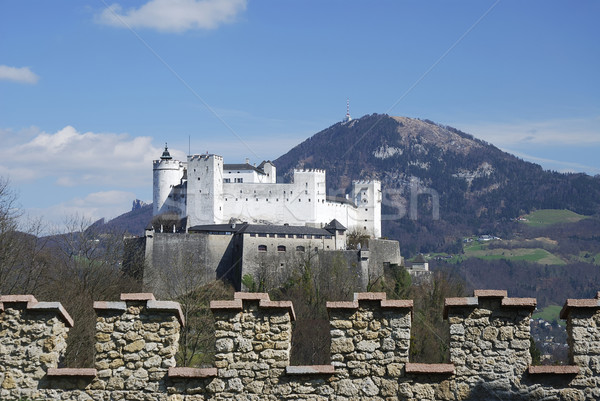 Hohensalzburg castle Stock photo © manfredxy