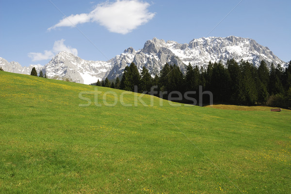 Karwendel Mountains Stock photo © manfredxy