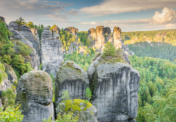 Rocks in the Elbe Sandstone Mountains Stock photo © manfredxy