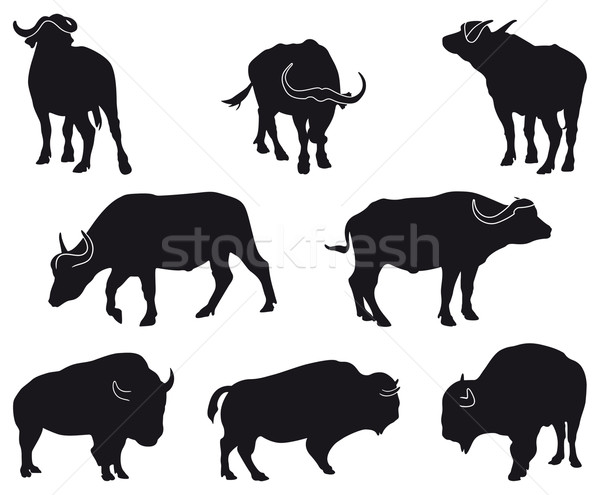 Bison acht schwarz Silhouetten Natur Stock foto © mannaggia