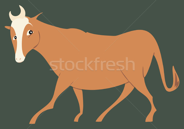 Stylized steer Stock photo © mannaggia