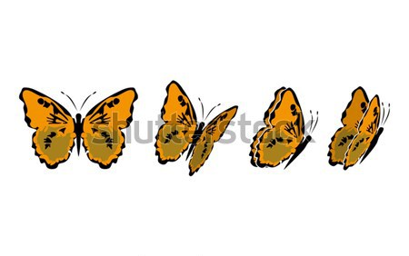 Butterfly Stock photo © mannaggia