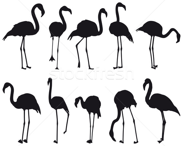 Flamingó sziluettek tíz különböző természet piros Stock fotó © mannaggia