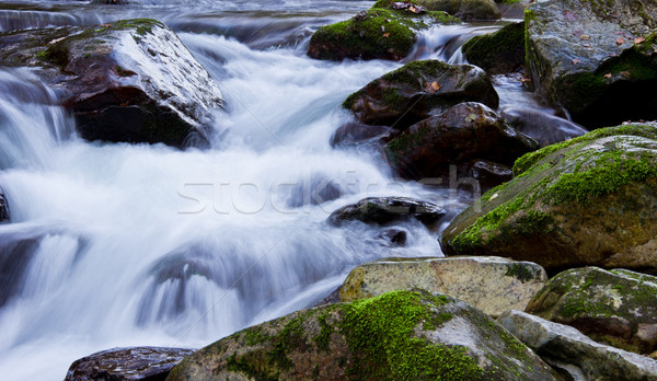 Fluss Wald nördlich Spanien Wasser Holz Stock foto © Marcogovel