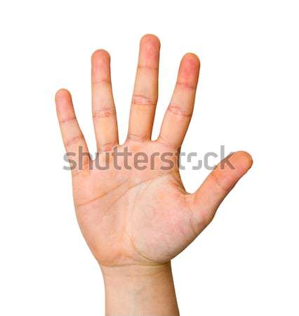 Stock photo: open hand