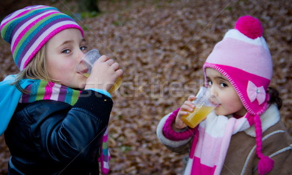 Porträt Kinder fallen Kleidung Natur Stock foto © Marcogovel