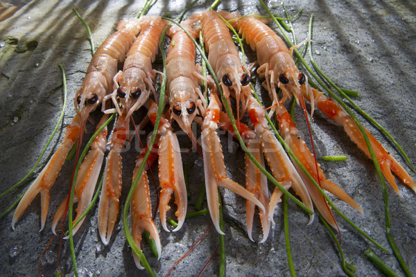 Fraîches crevettes marines produit présentation préparation [[stock_photo]] © marcoguidiph