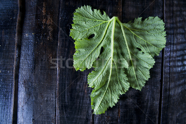 Zielone liście dynia czarny tabeli Zdjęcia stock © marcoguidiph