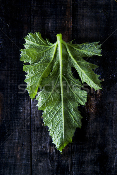 Zielone liście dynia czarny tabeli Zdjęcia stock © marcoguidiph