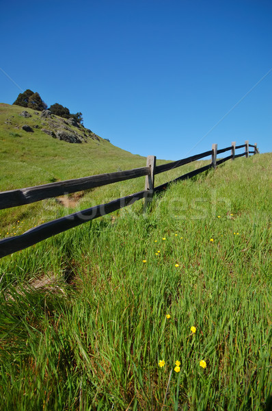 Mt Tamaplais Trail Stock photo © marcopolo9442