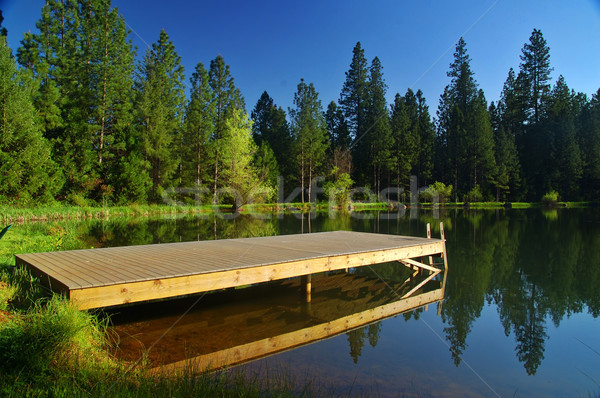 springtime lakeshore Stock photo © marcopolo9442