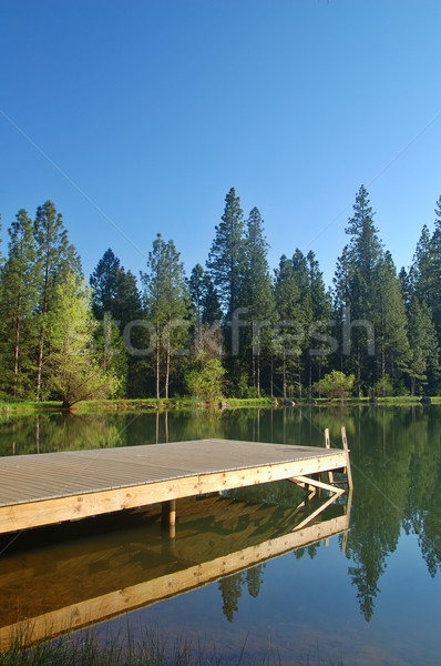 springtime lakeshore Stock photo © marcopolo9442