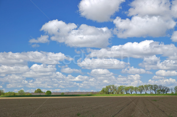 Stock photo: rural countryside