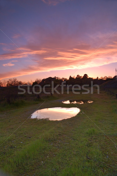 evening puddle Stock photo © marcopolo9442