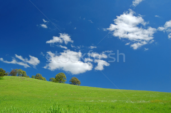 springtime landscape Stock photo © marcopolo9442