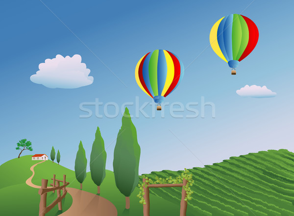 Balloons over a Vineyard Stock photo © marcopolo9442