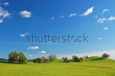 springtime landscape Stock photo © marcopolo9442