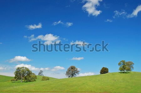 springtime landscape Stock photo © marcopolo9442