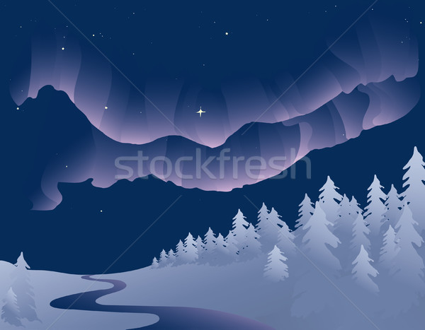 Noordelijk lichten vector illustratie winter Stockfoto © marcopolo9442