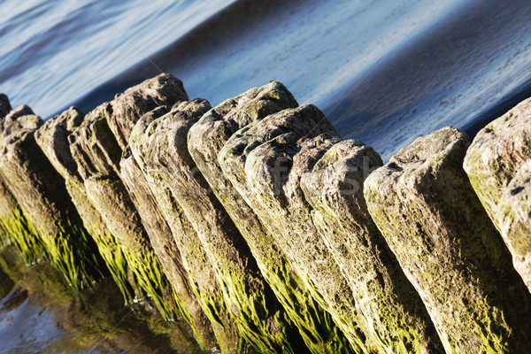 Old breakwaters in the sea in Kolobrzeg Stock photo © marekusz