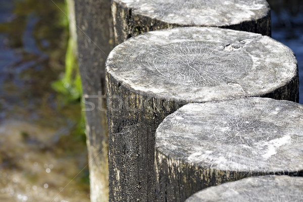 Fából készült fenék tenger tengerpart védelmez part Stock fotó © marekusz