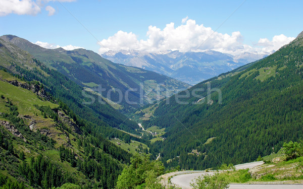 Сток-фото: небольшой · деревне · Альпы · скрытый · зеленый · долины