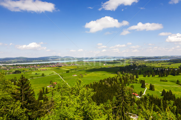 Güzel Neuschwanstein Kalesi manzara güzellik Stok fotoğraf © marekusz