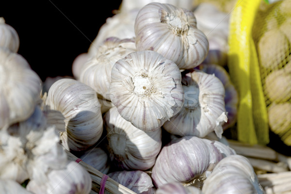 Bundle of garlic bulbs Stock photo © marekusz