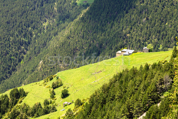 Pyrenees and their the green face Stock photo © marekusz
