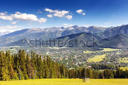 City of Zakopane and Tatras seen from the distance Stock photo © marekusz