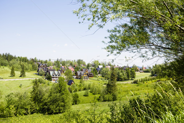 Green areas and houses in the town of Zakopane Stock photo © marekusz