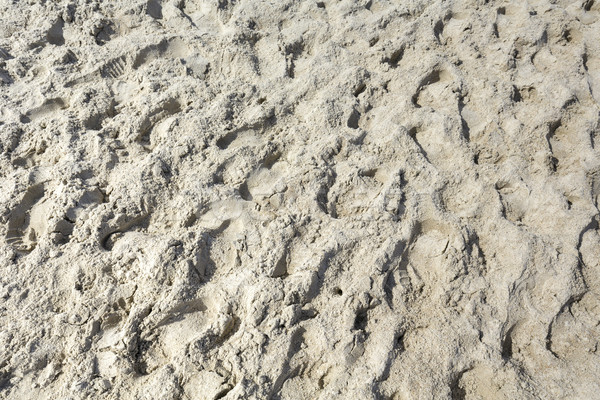 Beach sand in the summer time Stock photo © marekusz