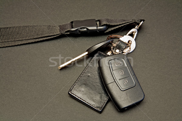car keys set with remote control Stock photo © marekusz