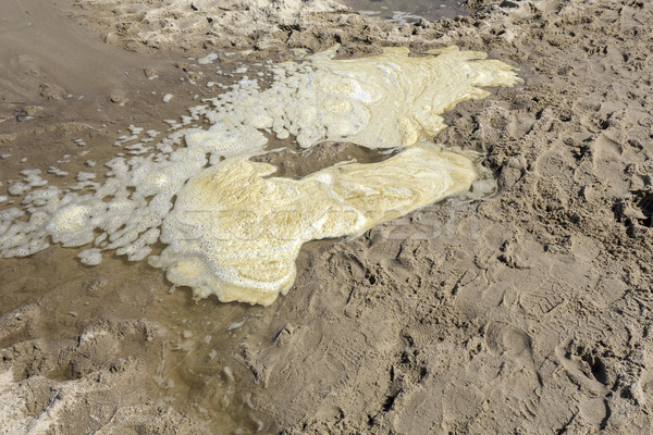 Contaminated seawater on the beach sand  Stock photo © marekusz