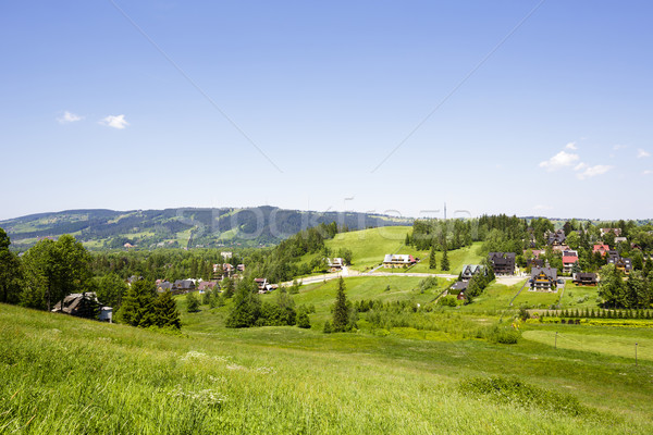 Meadows, fields and buildings in Zakopane Stock photo © marekusz