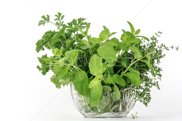 Fresh herbs, thyme mint parsley Stock photo © marekusz